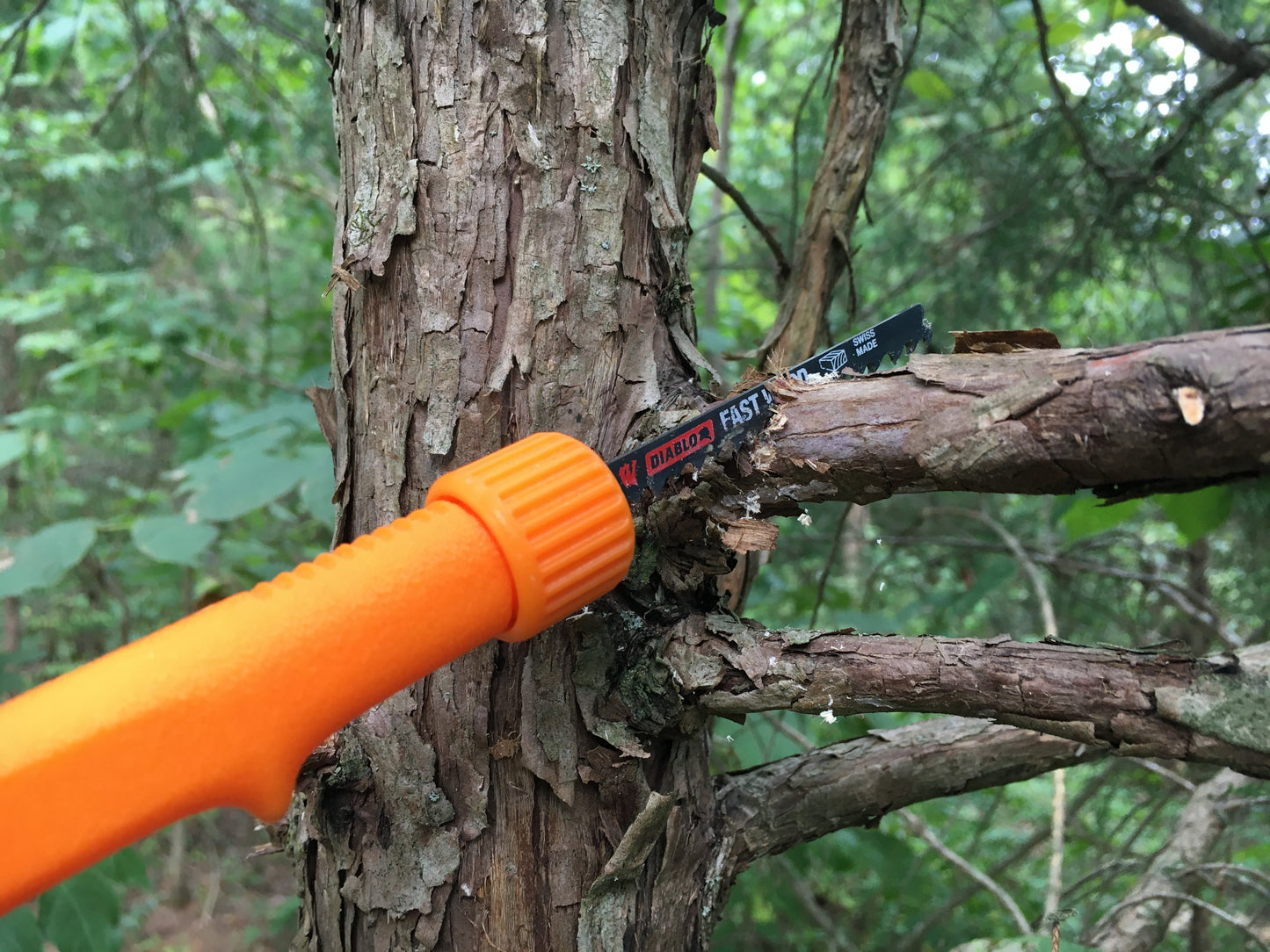 Ultralight 4" Pocket Saw Collapsible Blade for Backpacking, Hiking, and Survival